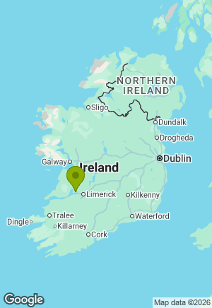 Labrador for sale in Clare
