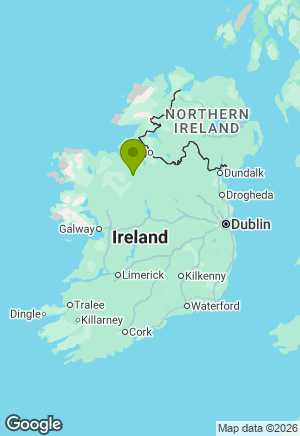 German Shepherd for sale in Roscommon
