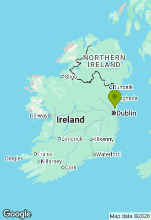 Jack Russell for sale in Dublin