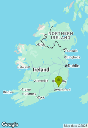 German Shepherd for sale in Wexford
