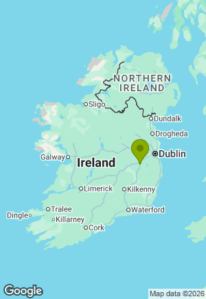 Golden Retriever for sale in Kildare