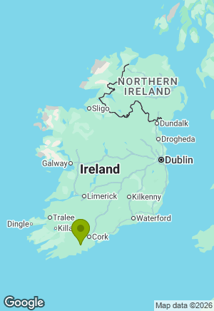 Border Collie for sale in Cork