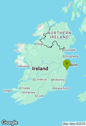 Border Collie for sale in Wicklow