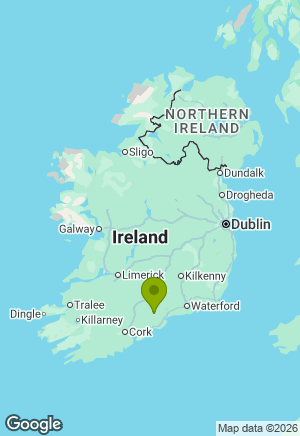 Welsh Corgi Pembroke for sale in Waterford