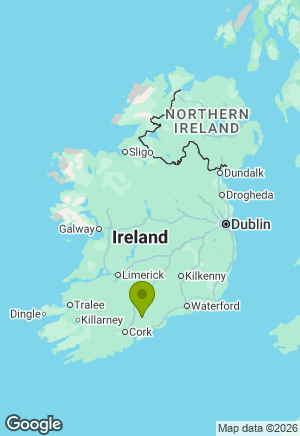 German Shepherd for sale in Cork