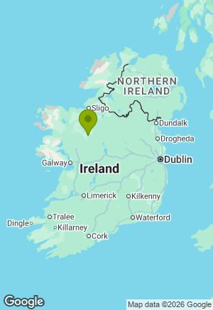 German Shorthaired Pointer for sale in Roscommon