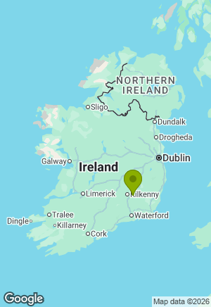 Rottweiler for sale in Kilkenny