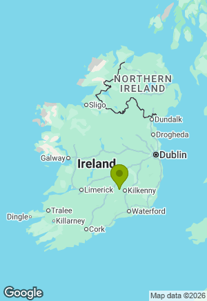 Boxer for sale in Kilkenny