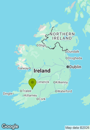 Border Collie for sale in Cork