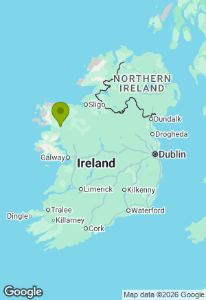German Shepherd for sale in Mayo