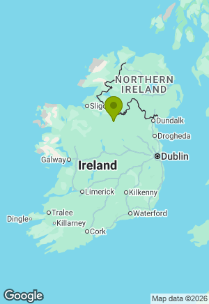Jack Russell for sale in Leitrim