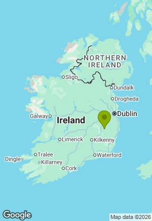Rottweiler for sale in Wicklow