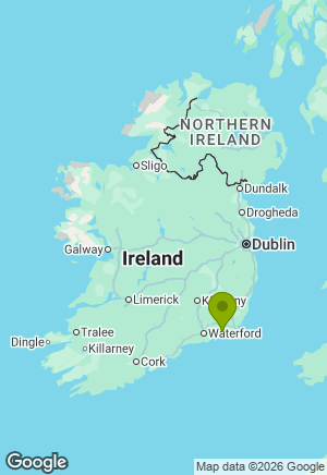 Border Collie for sale in Wexford
