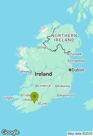 German Shepherd for sale in Cork