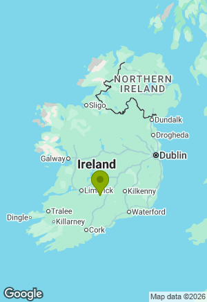 Jack Russell for sale in Tipperary