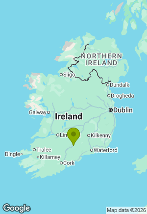 Irish Red & White Setter for sale in Tipperary