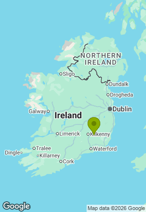 Border Collie for sale in Kilkenny