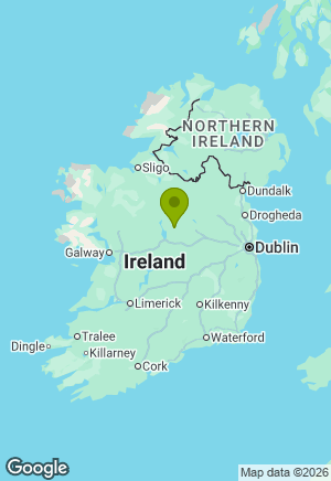 Border Collie for sale in Longford