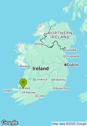 Border Collie for sale in Kerry