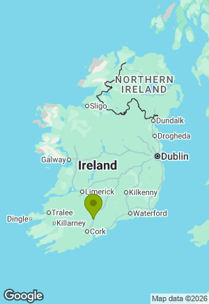 Golden Retriever for sale in Cork