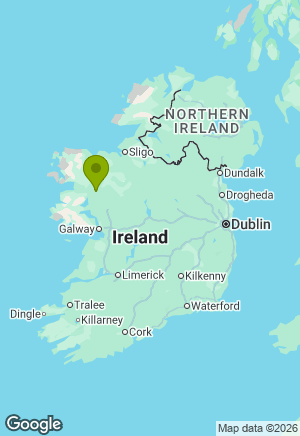 Jack Russell for sale in Mayo