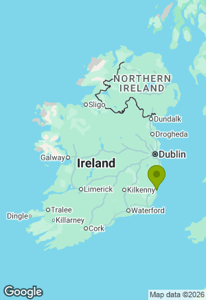 Jack Russell for sale in Wexford