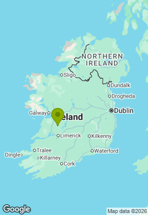 Irish Wolfhound for sale in Clare