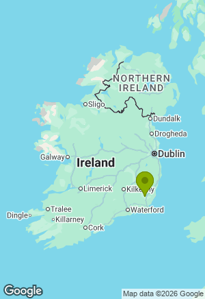 Boxer for sale in Wexford