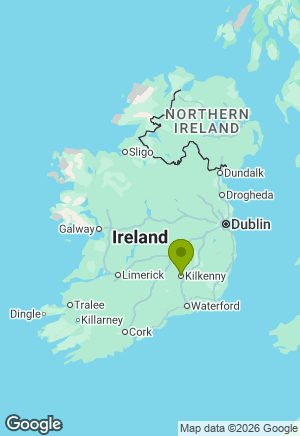 German Shepherd for sale in Kilkenny