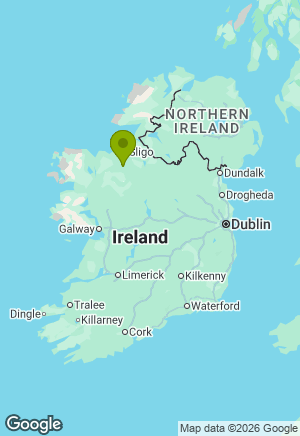Cavalier King Charles Spaniel for sale in Sligo