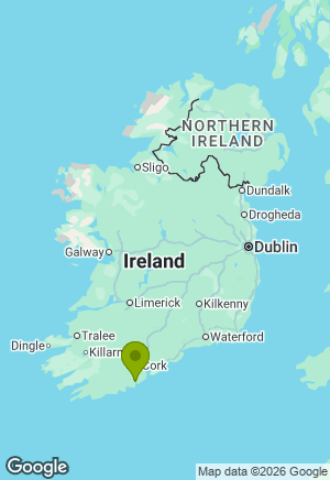Boxer for sale in Cork