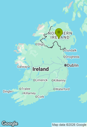 German Shepherd for sale in Tyrone