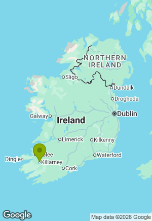 German Shepherd for sale in Kerry
