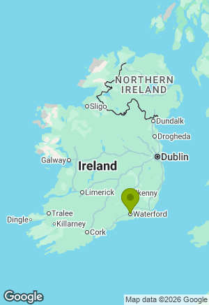 Cocker Spaniel for sale in Waterford