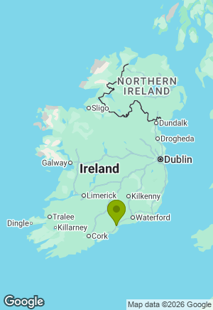 Border Collie for sale in Waterford