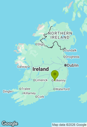 Irish Setter for sale in Kilkenny