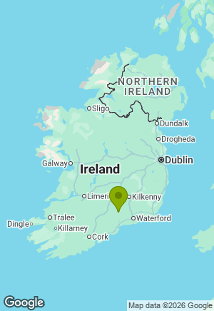 Lurcher for sale in Tipperary