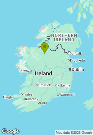 Border Collie for sale in Leitrim