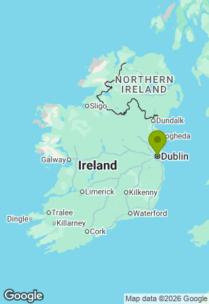 Border Collie for sale in Dublin
