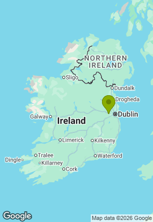 Dachshund for sale in Kildare