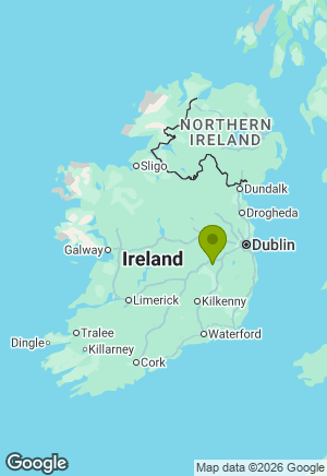 Jack Russell for sale in Kildare