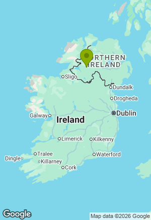 Beagle for sale in Tyrone