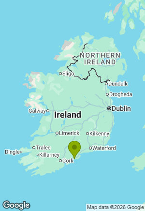 Bavarian Mountain Hound for sale in Cork