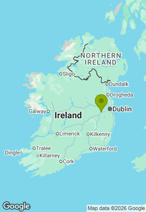 Beagle for sale in Kildare