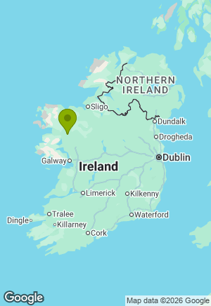 Staffordshire Bull Terrier for sale in Mayo