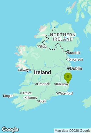 Cavalier King Charles Spaniel for sale in Wexford
