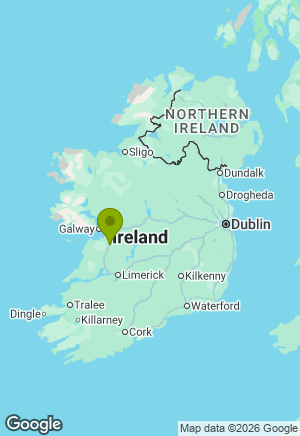 Rottweiler for sale in Galway