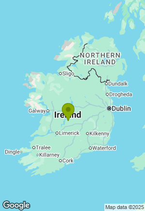 Newfoundland for sale in Tipperary