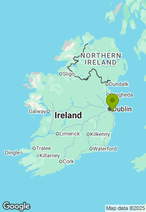 Poodle for sale in Dublin