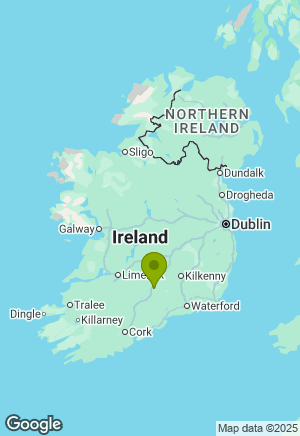 Irish Setter for sale in Tipperary